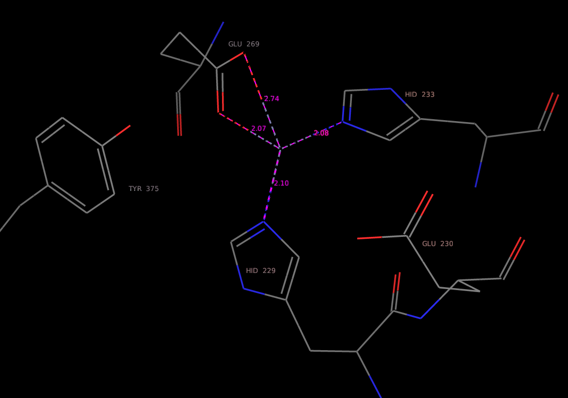 Figure 2.1: 
Active site of the homology model of the botulinum neurotoxin c.