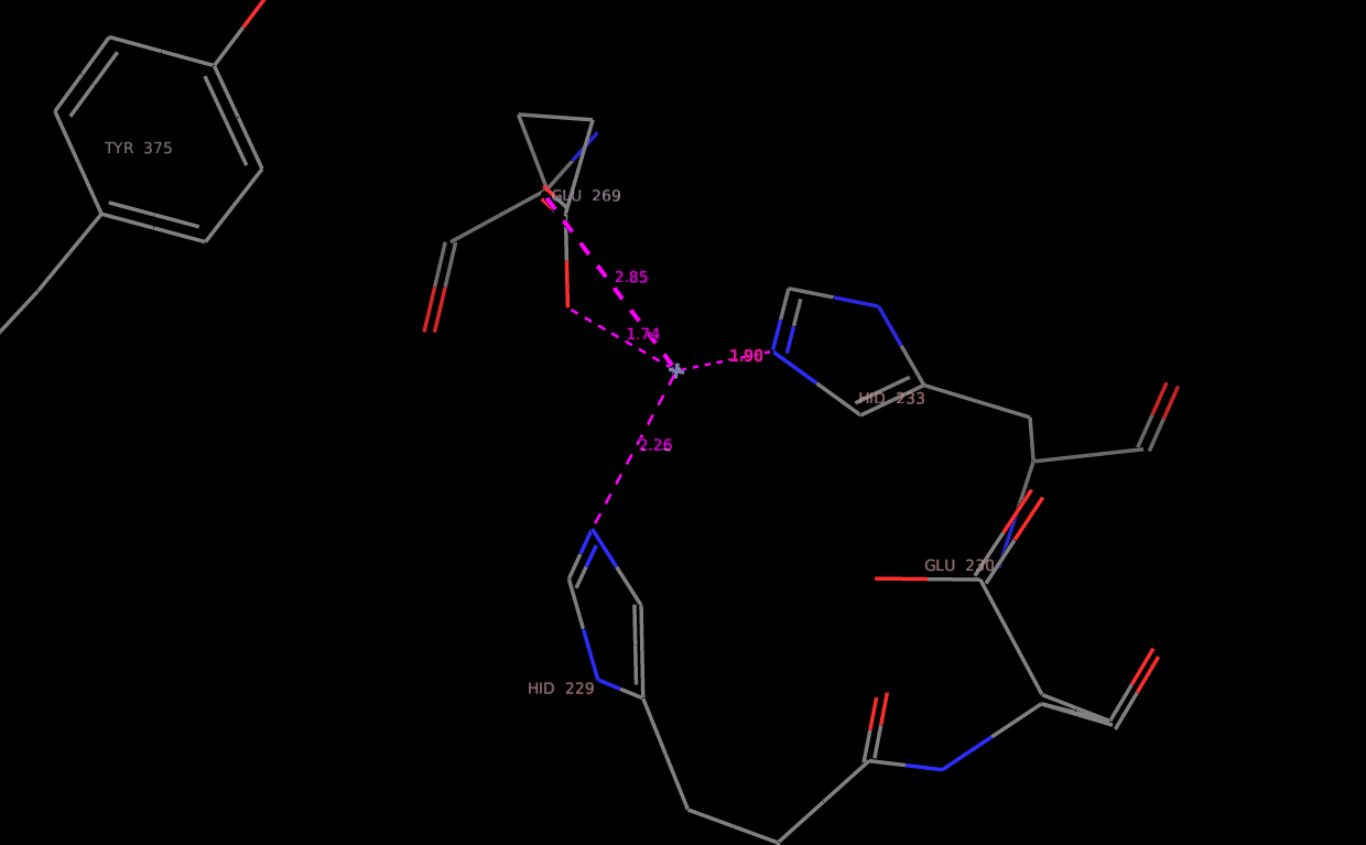 Figure 2.2: Active site of the botulinum neurotoxin c light chain (PDB ID: 2QN0)