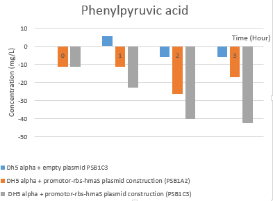 T--Aix-Marseille--Hplc phenylpyruvic acid rate evolution new.png